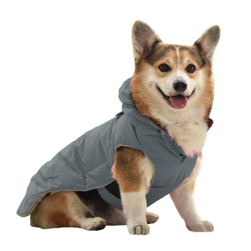 Adjustable dog coat hotsell